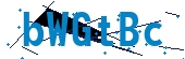 recaptcha
