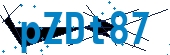 recaptcha