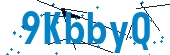 recaptcha