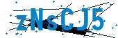 recaptcha
