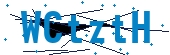 recaptcha
